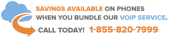 VoIP Service Bundle